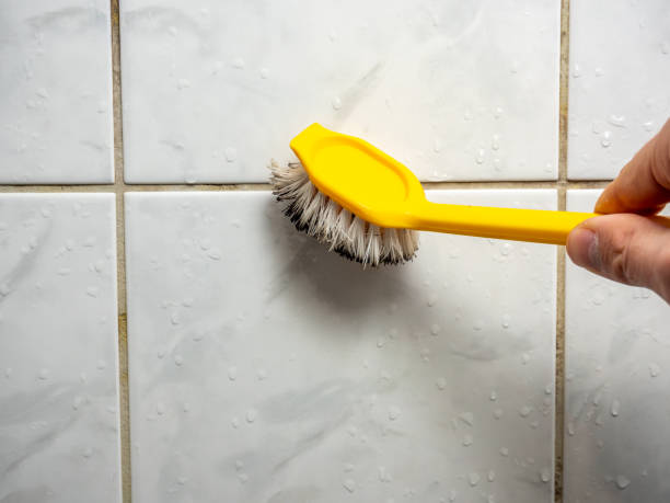 Professional Mold Removal in Merrill, WI
