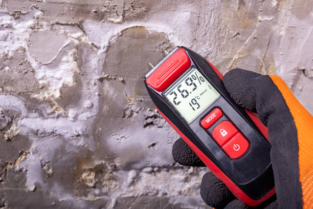 Best Mold Remediation  in Merrill, WI