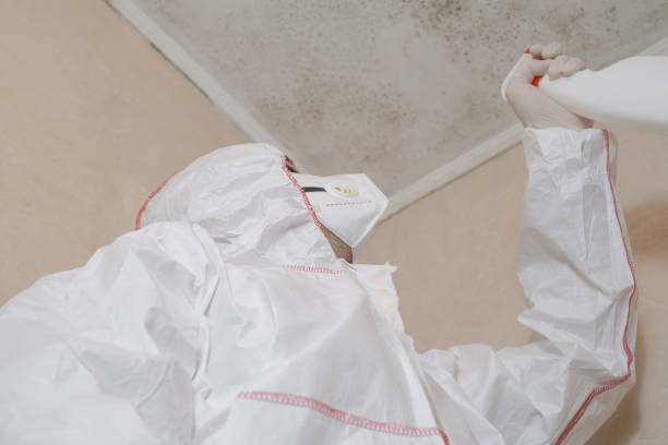 Best Certified Mold Removal  in Merrill, WI